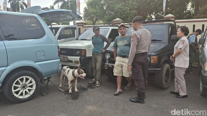 Tragedi di Bogor, Bocah Pemancing Meninggal Usai Diserang Anjing Pemburu Saat Bermain di Area Perkebunan