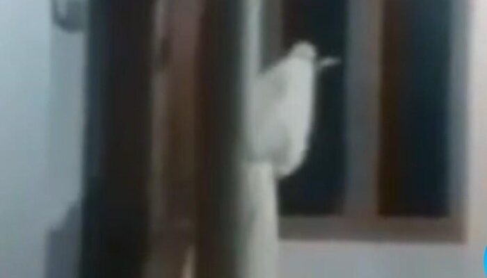 Penampakan 'Pocong Bercelurit' di Bangkalan Hebohkan Warga, Pemerintah Pastikan Informasi Tidak Benar