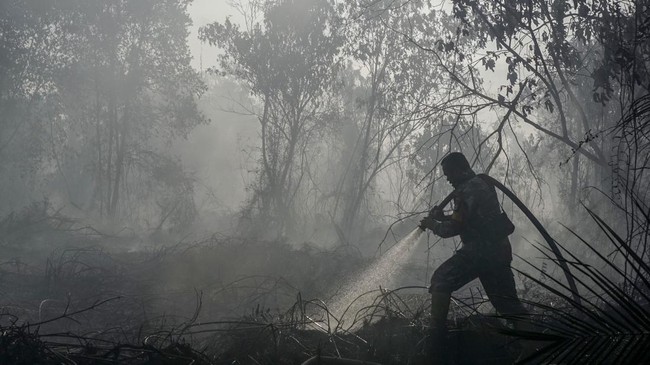 BPBD Jabar Catat 132 Karhutla hingga Agustus, Sumedang Jadi Wilayah Paling Sering Terbakar